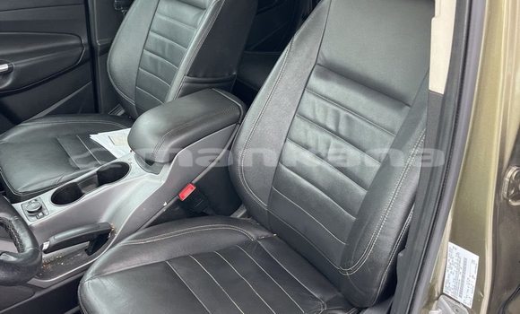 Buy Used Ford Escape Other Car in Tbilisi in Tbilisi Buy Used Ford Escape Other Car in Tbilisi in Tbilisi