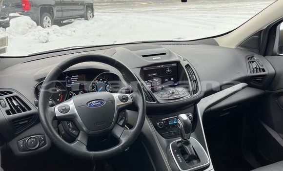 Buy Used Ford Escape Other Car in Tbilisi in Tbilisi Buy Used Ford Escape Other Car in Tbilisi in Tbilisi