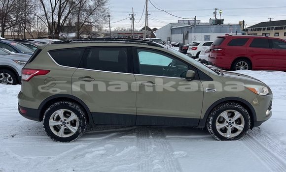 Buy Used Ford Escape Other Car in Tbilisi in Tbilisi Buy Used Ford Escape Other Car in Tbilisi in Tbilisi