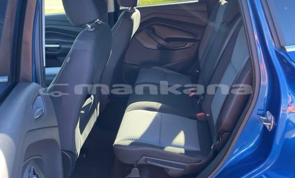 Buy Used Ford Escape Blue Car in Tbilisi in Tbilisi Buy Used Ford Escape Blue Car in Tbilisi in Tbilisi