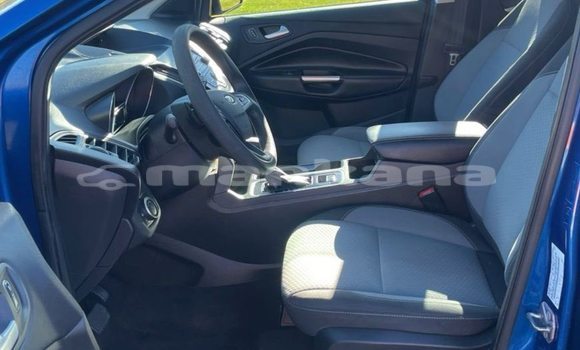 Buy Used Ford Escape Blue Car in Tbilisi in Tbilisi Buy Used Ford Escape Blue Car in Tbilisi in Tbilisi