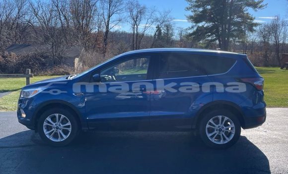 Buy Used Ford Escape Blue Car in Tbilisi in Tbilisi Buy Used Ford Escape Blue Car in Tbilisi in Tbilisi