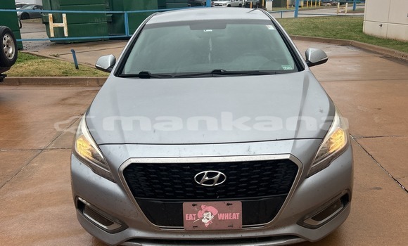 Buy Used Hyundai Sonata Other Car in Tbilisi in Tbilisi