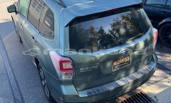 Buy Used Subaru Forester Other Car in Tbilisi in Tbilisi Buy Used Subaru Forester Other Car in Tbilisi in Tbilisi