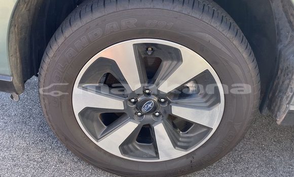 Buy Used Subaru Forester Other Car in Tbilisi in Tbilisi Buy Used Subaru Forester Other Car in Tbilisi in Tbilisi