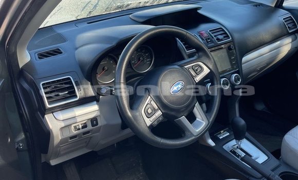 Buy Used Subaru Forester Other Car in Tbilisi in Tbilisi Buy Used Subaru Forester Other Car in Tbilisi in Tbilisi