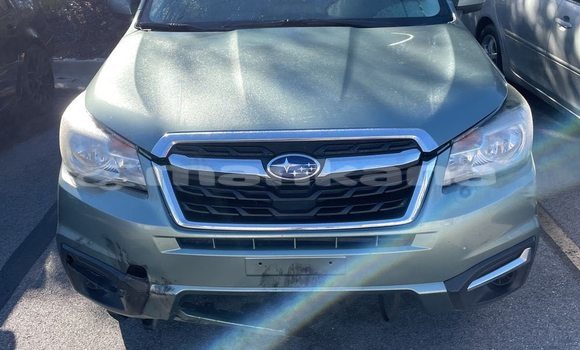 Buy Used Subaru Forester Other Car in Tbilisi in Tbilisi Buy Used Subaru Forester Other Car in Tbilisi in Tbilisi