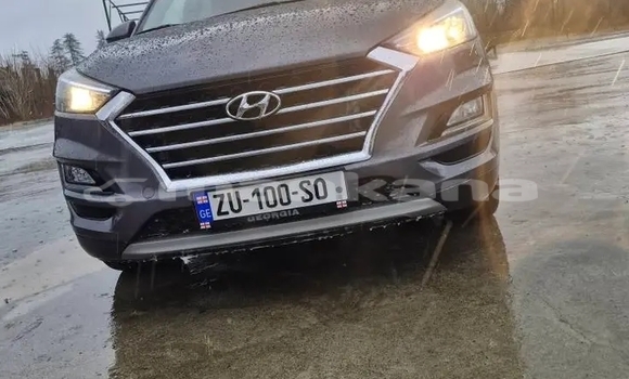 Buy Used Hyundai Tucson Other Car in Batumi in Ajaria