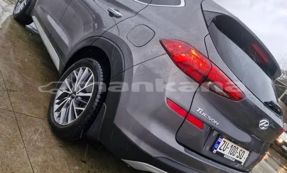 Buy Used Hyundai Tucson Other Car in Batumi in Ajaria Buy Used Hyundai Tucson Other Car in Batumi in Ajaria