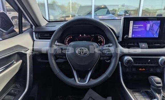 Buy Used Toyota RAV4 White Car in Bagdadi in Imereti Buy Used Toyota RAV4 White Car in Bagdadi in Imereti