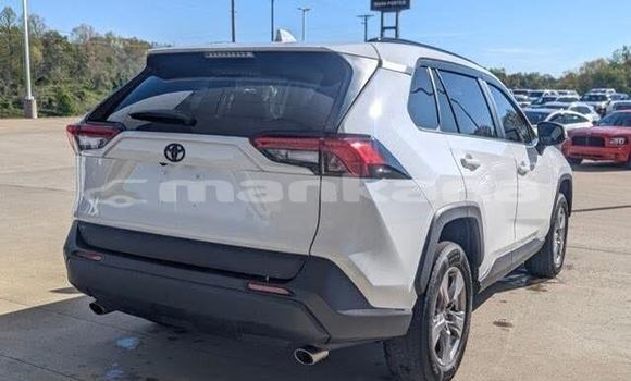 Buy Used Toyota RAV4 White Car in Bagdadi in Imereti Buy Used Toyota RAV4 White Car in Bagdadi in Imereti