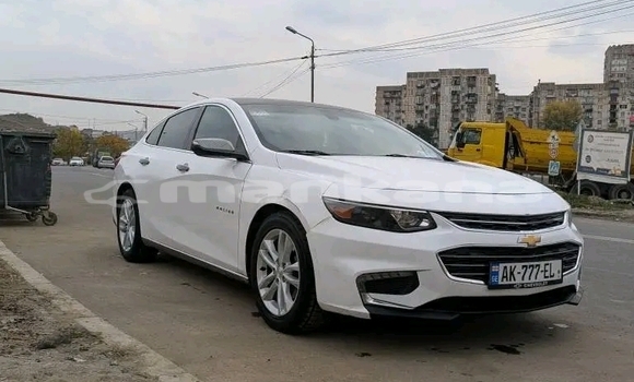 Buy Used Chevrolet Equinox White Car in Bihvinta in Abhasia Buy Used Chevrolet Equinox White Car in Bihvinta in Abhasia