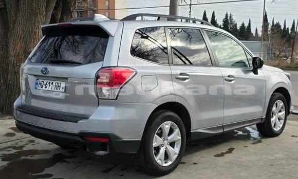 Buy Used Subaru Forester White Car in Bagdadi in Imereti