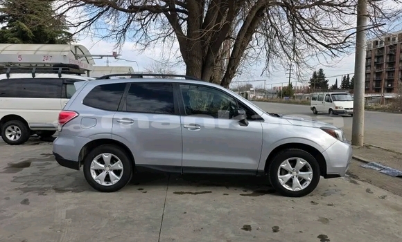 Buy Used Subaru Forester White Car in Bagdadi in Imereti Buy Used Subaru Forester White Car in Bagdadi in Imereti