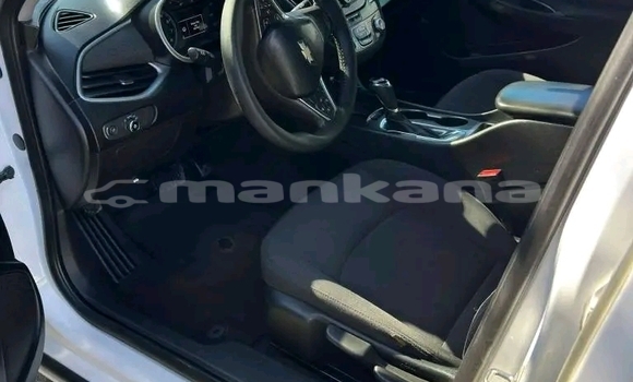 Buy Used Chevrolet Malibu White Car in Batumi in Ajaria Buy Used Chevrolet Malibu White Car in Batumi in Ajaria