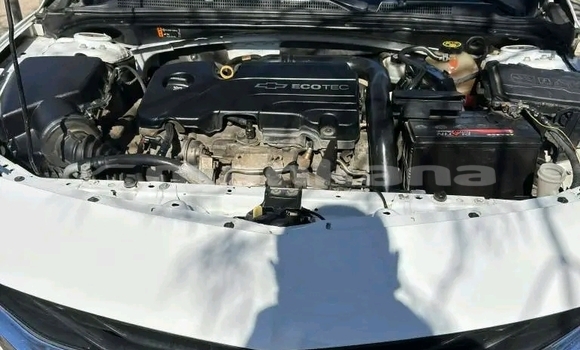 Buy Used Chevrolet Malibu White Car in Batumi in Ajaria Buy Used Chevrolet Malibu White Car in Batumi in Ajaria