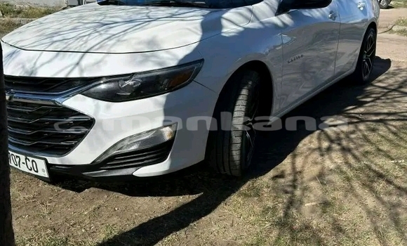 Buy Used Chevrolet Malibu White Car in Batumi in Ajaria Buy Used Chevrolet Malibu White Car in Batumi in Ajaria