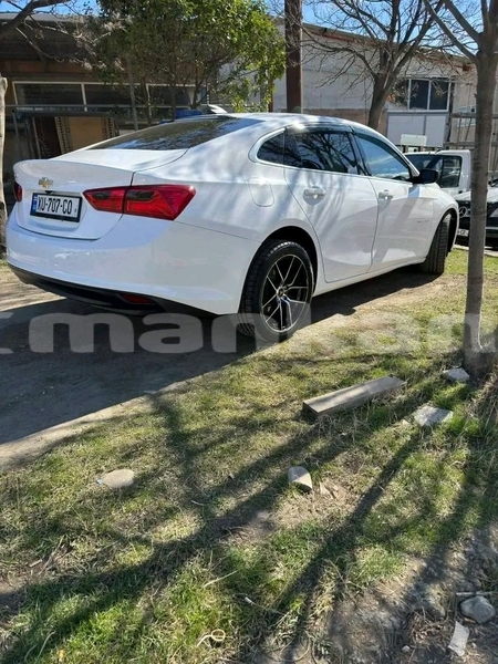 Big with watermark chevrolet malibu ajaria batumi 8016