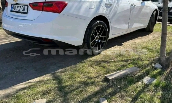 Buy Used Chevrolet Malibu White Car in Batumi in Ajaria Buy Used Chevrolet Malibu White Car in Batumi in Ajaria