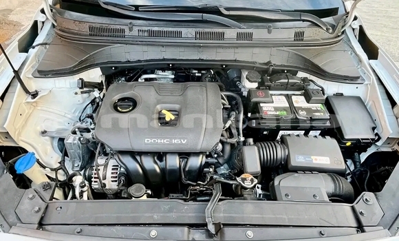 Buy Used Hyundai Kona White Car in Bihvinta in Abhasia Buy Used Hyundai Kona White Car in Bihvinta in Abhasia