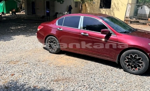 Buy Used Honda Accord Red Car in Batumi in Ajaria Buy Used Honda Accord Red Car in Batumi in Ajaria