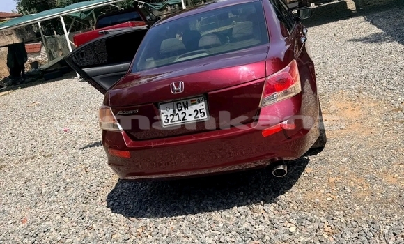 Buy Used Honda Accord Red Car in Batumi in Ajaria Buy Used Honda Accord Red Car in Batumi in Ajaria