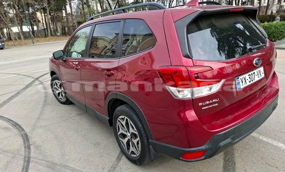Buy Used Subaru Forester Red Car in Batumi in Ajaria