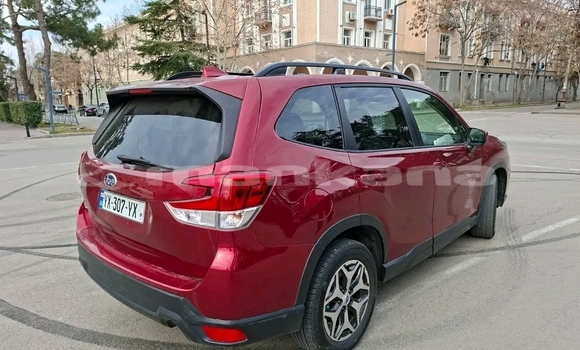 Buy Used Subaru Forester Red Car in Batumi in Ajaria Buy Used Subaru Forester Red Car in Batumi in Ajaria