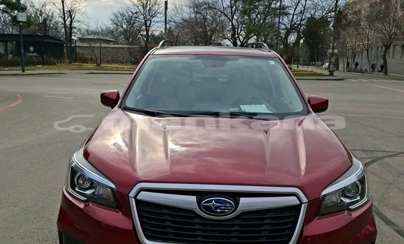 Buy Used Subaru Forester Red Car in Batumi in Ajaria Buy Used Subaru Forester Red Car in Batumi in Ajaria