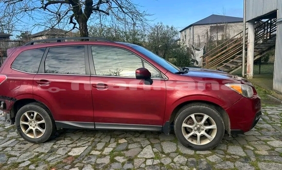 Buy Used Subaru Forester Red Car in Bihvinta in Abhasia Buy Used Subaru Forester Red Car in Bihvinta in Abhasia