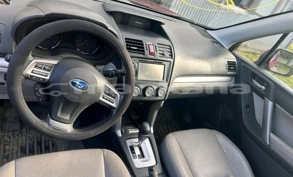 Buy Used Subaru Forester Red Car in Bihvinta in Abhasia Buy Used Subaru Forester Red Car in Bihvinta in Abhasia