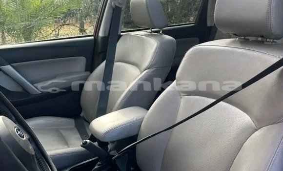 Buy Used Subaru Forester Red Car in Batumi in Ajaria Buy Used Subaru Forester Red Car in Batumi in Ajaria