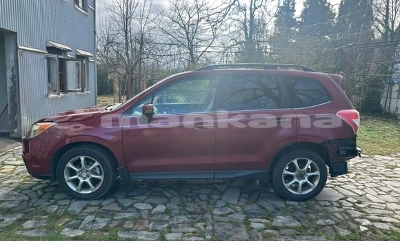 Buy Used Subaru Forester Red Car in Batumi in Ajaria Buy Used Subaru Forester Red Car in Batumi in Ajaria
