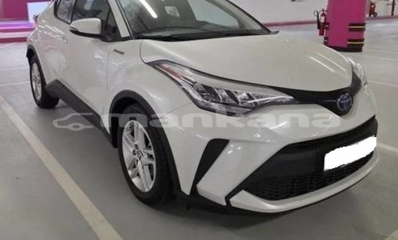 Buy Used Toyota C-HR White Car in Tbilisi in Tbilisi