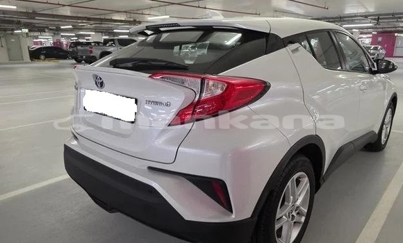 Buy Used Toyota C-HR White Car in Tbilisi in Tbilisi Buy Used Toyota C-HR White Car in Tbilisi in Tbilisi