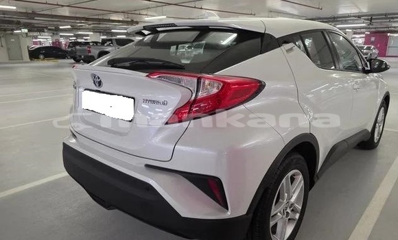 Buy Used Toyota C-HR White Car in Tbilisi in Tbilisi Buy Used Toyota C-HR White Car in Tbilisi in Tbilisi