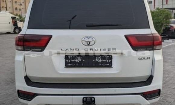 Buy Used Toyota Land Cruiser White Car in Tbilisi in Tbilisi Buy Used Toyota Land Cruiser White Car in Tbilisi in Tbilisi