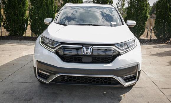 Buy Used Honda CR–V White Car in Tbilisi in Tbilisi Buy Used Honda CR–V White Car in Tbilisi in Tbilisi