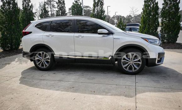 Buy Used Honda CR–V White Car in Tbilisi in Tbilisi Buy Used Honda CR–V White Car in Tbilisi in Tbilisi