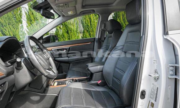 Buy Used Honda CR–V White Car in Tbilisi in Tbilisi Buy Used Honda CR–V White Car in Tbilisi in Tbilisi