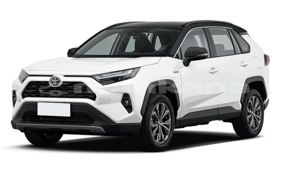 Buy New Toyota RAV4 White Car in Signahi in Kaheti