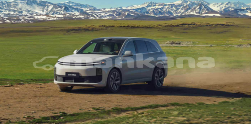 Big with watermark lifan x50 tbilisi rustavi 8079