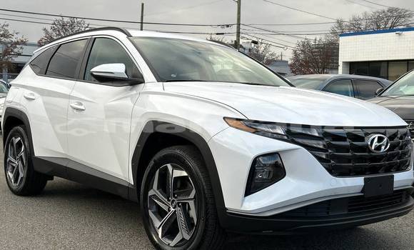 Buy Used Hyundai Tucson White Car in Tbilisi in Tbilisi