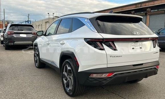 Buy Used Hyundai Tucson White Car in Tbilisi in Tbilisi Buy Used Hyundai Tucson White Car in Tbilisi in Tbilisi