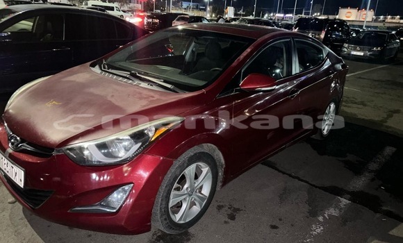 Buy Used Hyundai Elantra Red Car in Tbilisi in Tbilisi