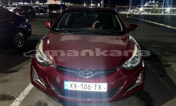 Buy Used Hyundai Elantra Red Car in Tbilisi in Tbilisi Buy Used Hyundai Elantra Red Car in Tbilisi in Tbilisi