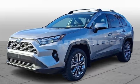 Buy Used Toyota RAV4 Silver Car in Tbilisi in Tbilisi