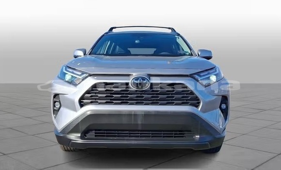 Buy Used Toyota RAV4 Silver Car in Tbilisi in Tbilisi Buy Used Toyota RAV4 Silver Car in Tbilisi in Tbilisi