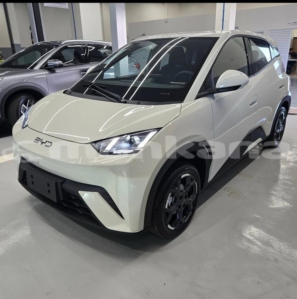 Big with watermark byd s6 tbilisi tbilisi 8094