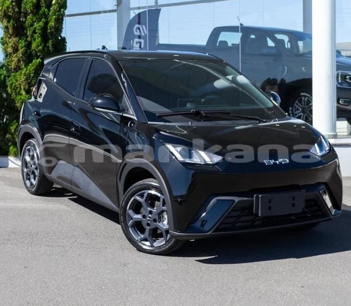 Big with watermark byd s6 tbilisi tbilisi 8094